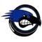 Logo: Nighthawks