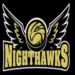 Logo: Nighthawks Gold