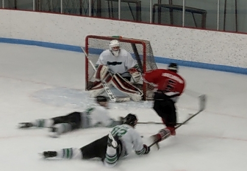 B3 Spiders vs. Spitfires Green, April 8, 2018, at Bloomington Ice Gardens