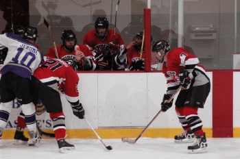 The Spiders bench taunts center Ted Samsel and right wing Mark Franklin along the boards.