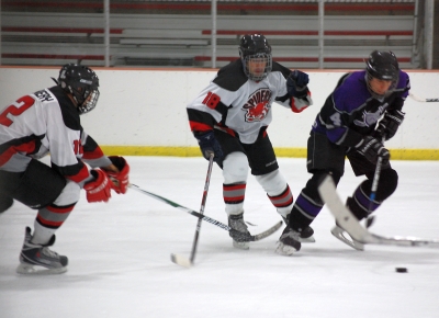 Flannery (12) and Grotbeck (18) do some stickwork.