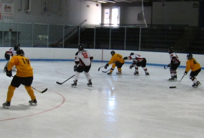 Spiders vs. Yellow Team, L4 Final, 2011 Fall Tournament, Oct. 2, 2011