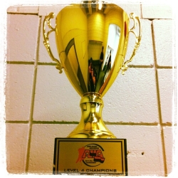 Fall Tourney L4 Trophy