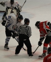 Spiders vs. Puck Hounds, April 14, 2012, at BIG.