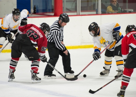 Spiders at Fighting Saints, Dec. 1, 2012