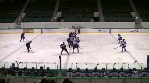 Spiders vs. Moose, Feb. 17, 2013, Coliseum