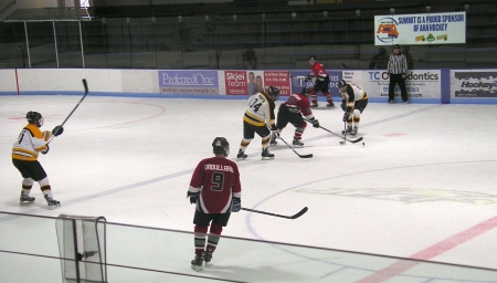 Spiders vs. Gold Rush, April 6, 2013