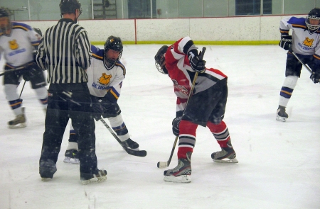 Spiders vs. IceDogs, Jan. 19, 2014.