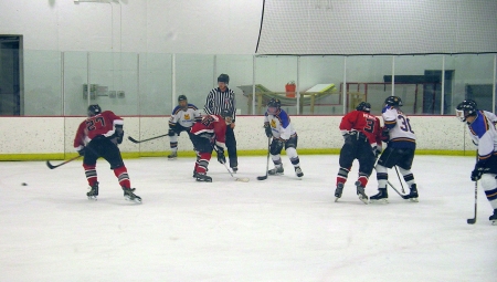 Spiders vs. IceDogs, Jan. 19, 2014.