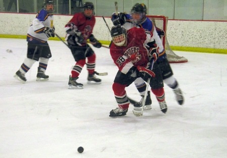 Spiders vs. IceDogs, Jan. 19, 2014.