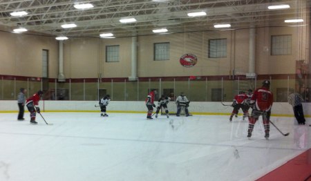 Spiders vs. Nighthawks, March 26, 2014.