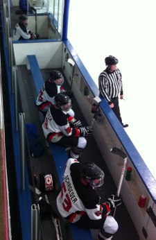 Spiders vs. Sled Dogs, March 29, 2014.