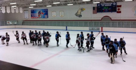 Spiders vs. Sled Dogs, March 29, 2014.