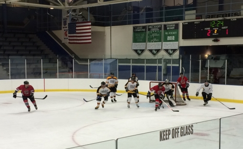 Spiders at Gold Rush, Nov. 11, 2014, Aldrich Arena.