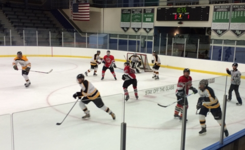 Spiders at Gold Rush, Nov. 11, 2014, Aldrich Arena.