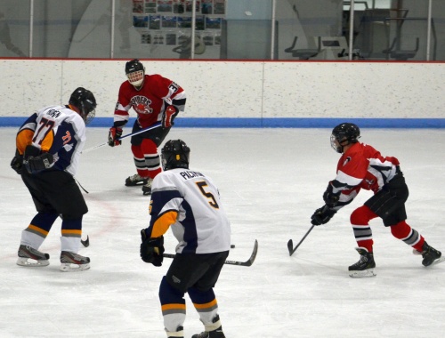 Spiders vs. Wolfpack, March 8, 2015.