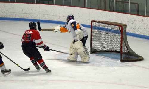 Spiders vs. Wolfpack, March 8, 2015.