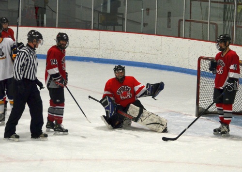 Spiders vs. Wolfpack, March 8, 2015.