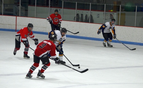 Spiders vs. Wolfpack, March 8, 2015.