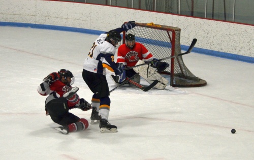 Spiders vs. Wolfpack, March 8, 2015.