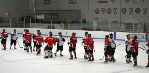 Spiders vs. Wolfpack, March 8, 2015.