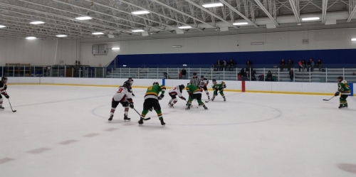 Spiders vs. Hooligans, Jan. 28, 2018, Richfield.