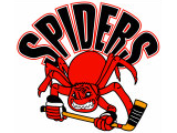 Spiders logo