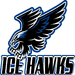 Logo: Ice Hawks