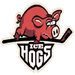 Logo: Ice Hogs