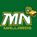 Logo: Minnesota Mallards