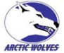 Logo: Arctic Wolves
