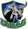 Logo: Bulls