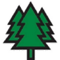 Logo: Pines