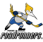 Logo: Roadrunners