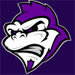 Logo: Silverbacks